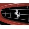 250 Gt Grille